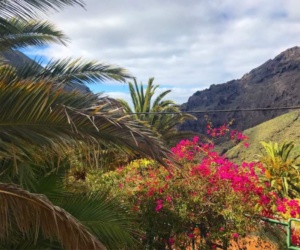 masca tenerife
