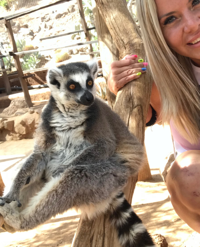 tenerife monkey park lemur